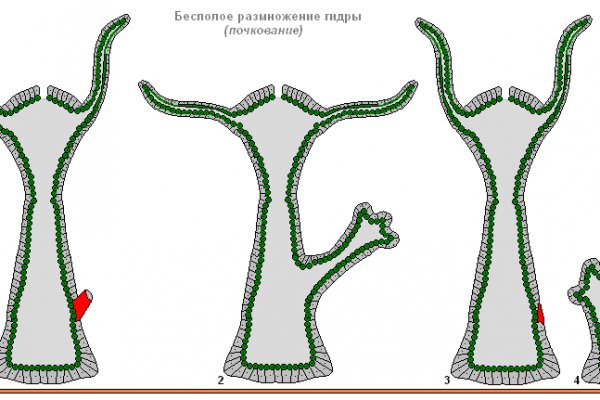 Кракен дарк оригинал ссылка