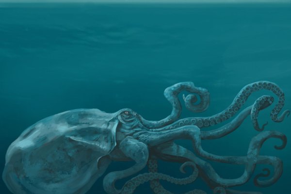 Kraken сайт вход