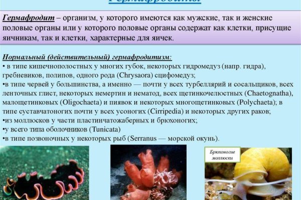 Кракен не грузит