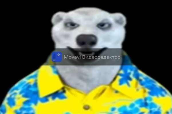 Что за приложение кракен
