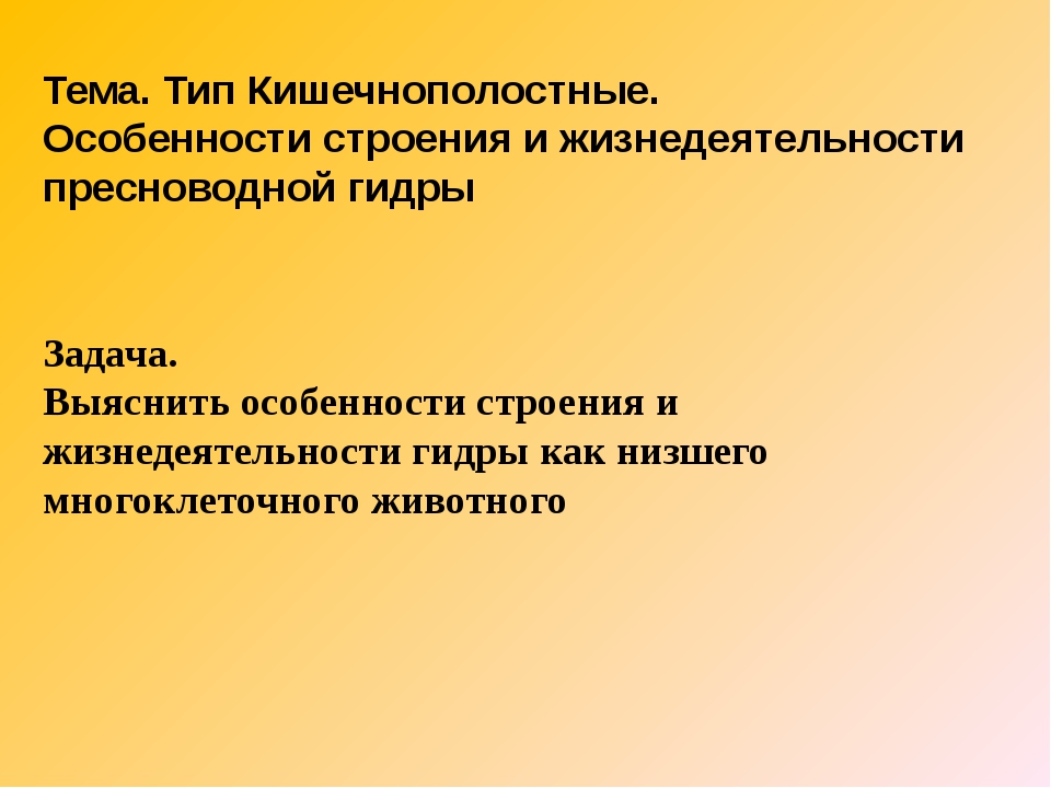 Кракен зеркало рабочее onion