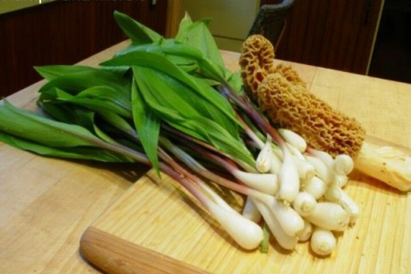 Где найти рабочую ссылку на кракен