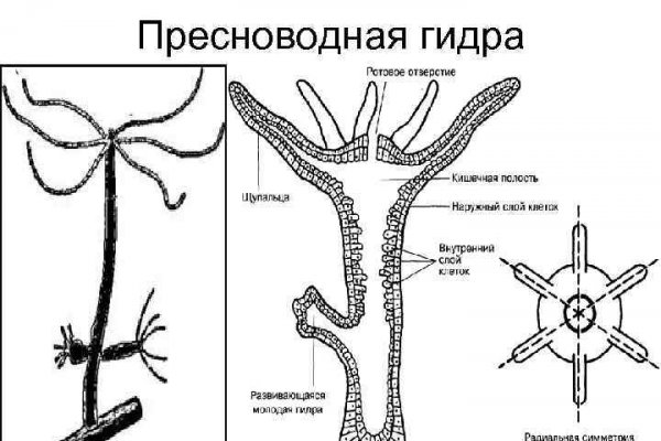 Кракен порошок