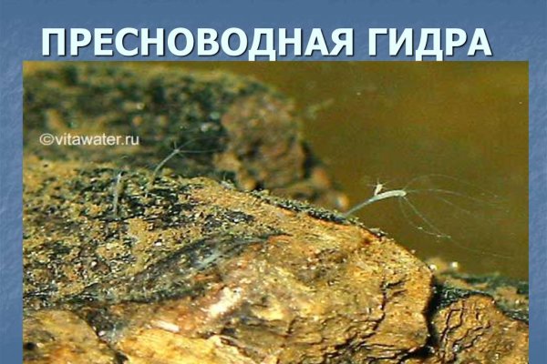 Кракен запрещенные вещества