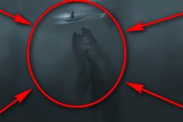 Kraken darknet зеркала
