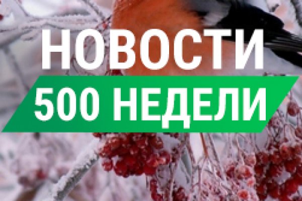 Рабочая ссылка на кракен в торе