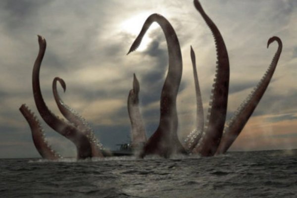 Kraken 17 at net