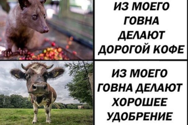 Кракен маркет зайти